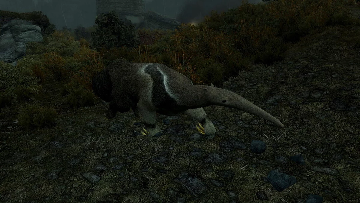 Elder Scrolls 5: Skyrim Special Edition — Гигантские муравьеды