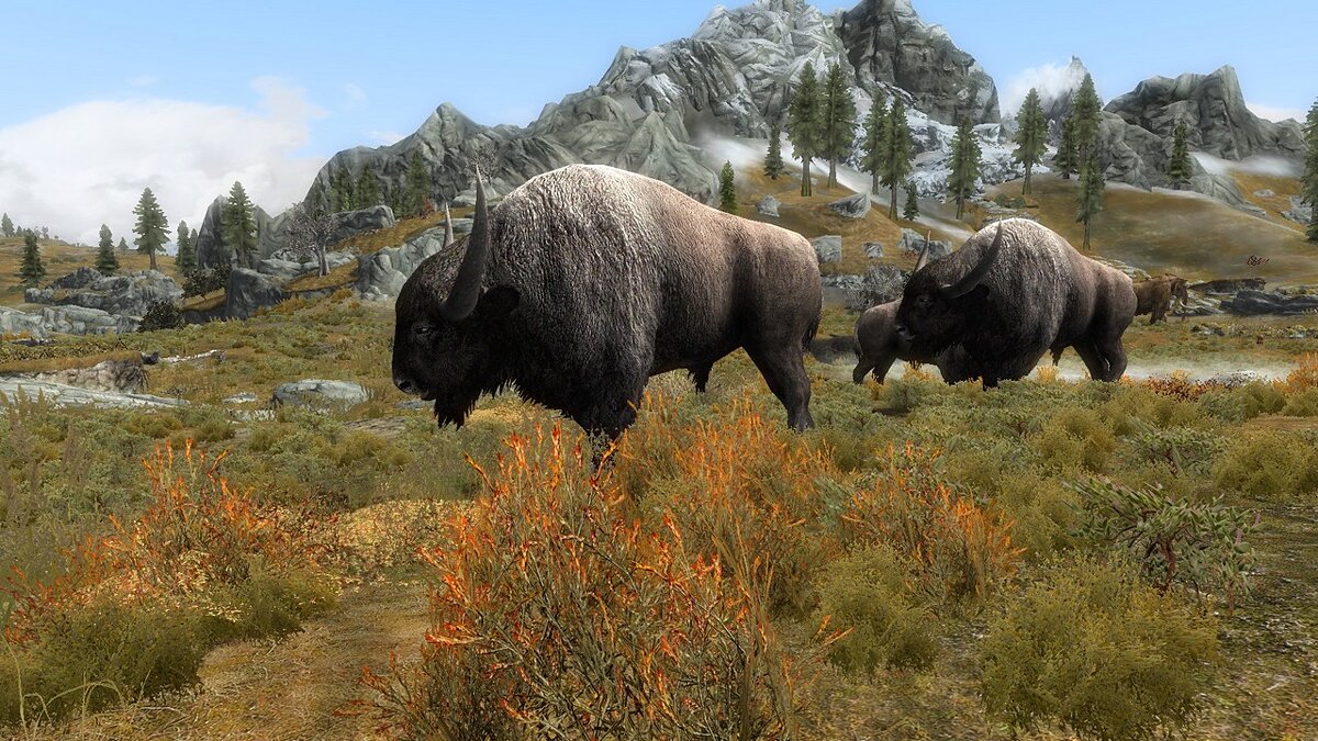 Elder Scrolls 5: Skyrim Special Edition — Bison