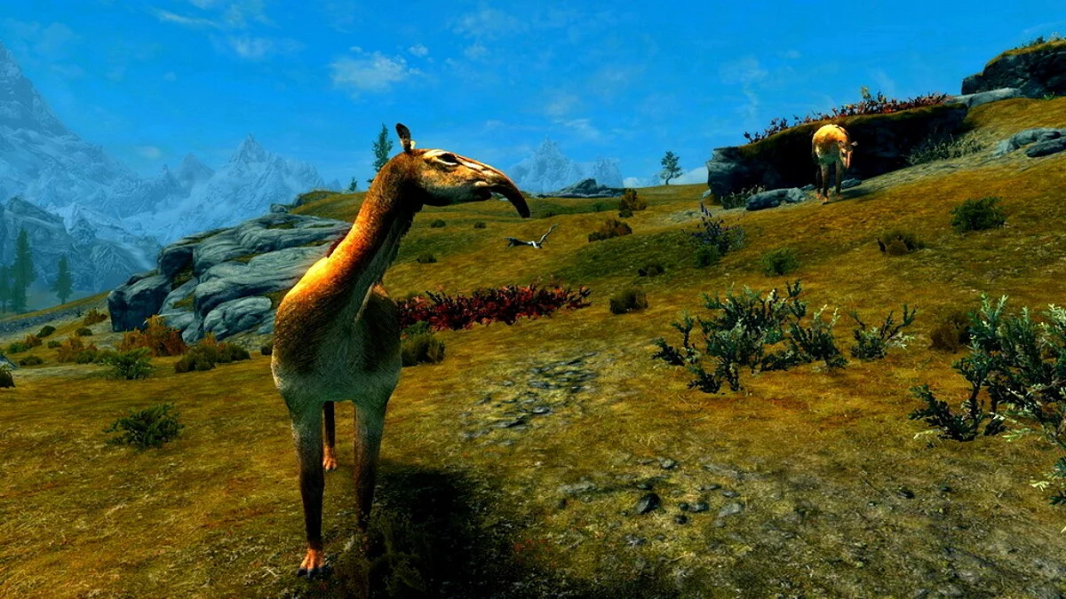 Elder Scrolls 5: Skyrim Special Edition — Макраушения