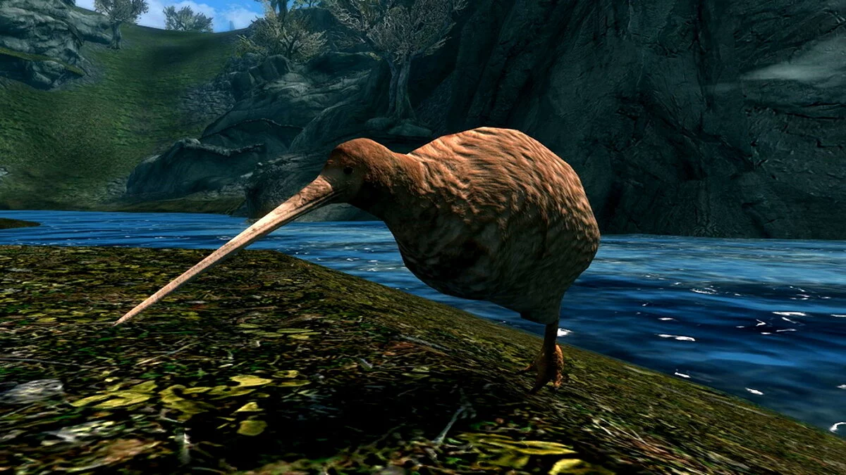 Elder Scrolls 5: Skyrim Special Edition — Kiwi bird