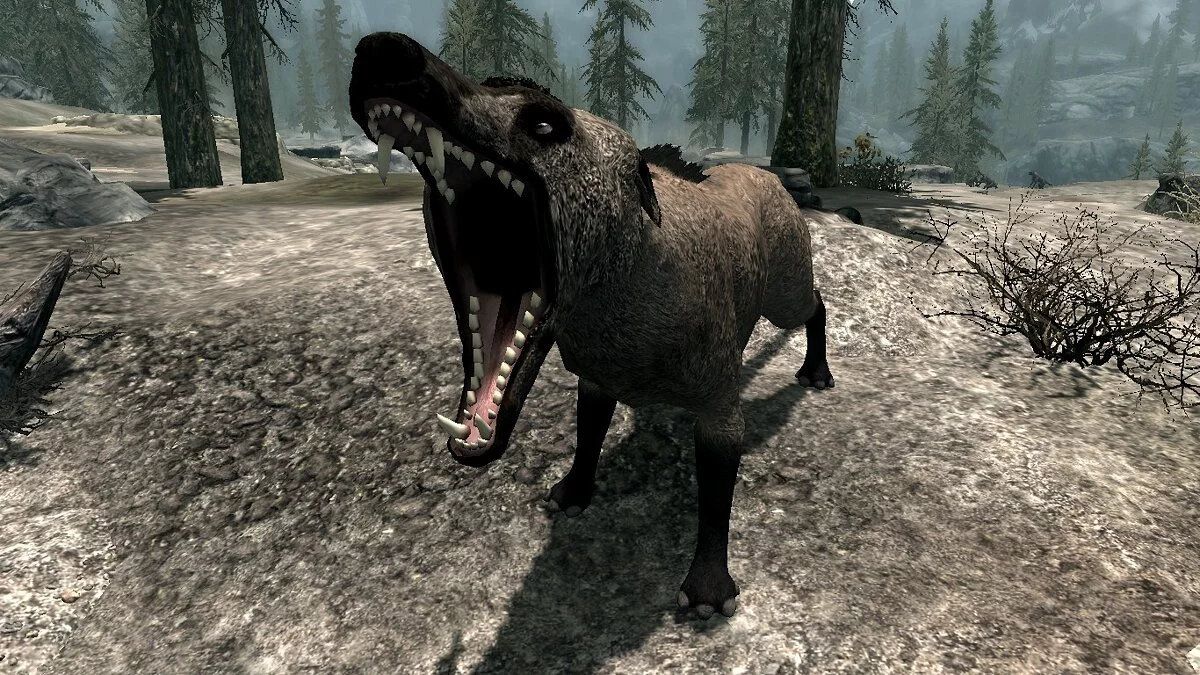 Elder Scrolls 5: Skyrim Special Edition — Эндрюсарх