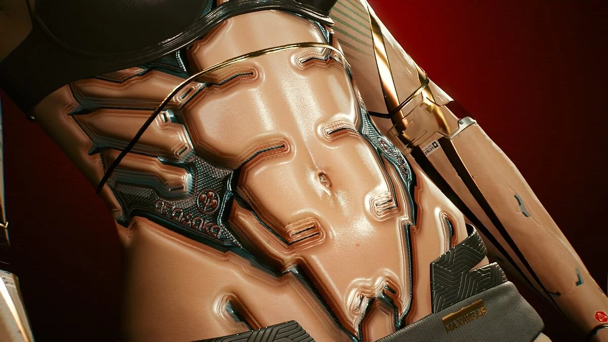 Cyberpunk 2077 — Кібер-тіло Арасака