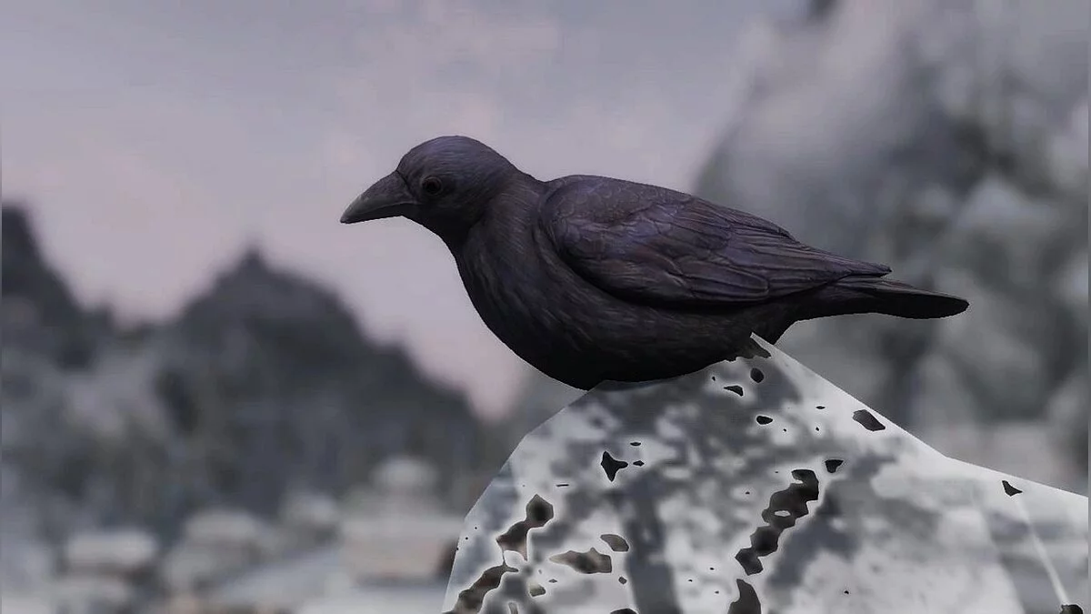 Elder Scrolls 5: Skyrim Special Edition — Вороны