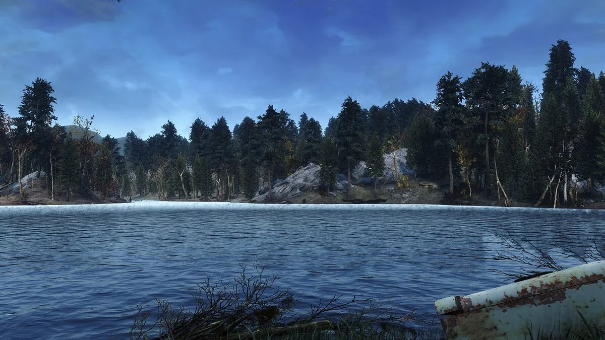 Fallout 4: Game of the Year Edition — Густий сосновий ліс