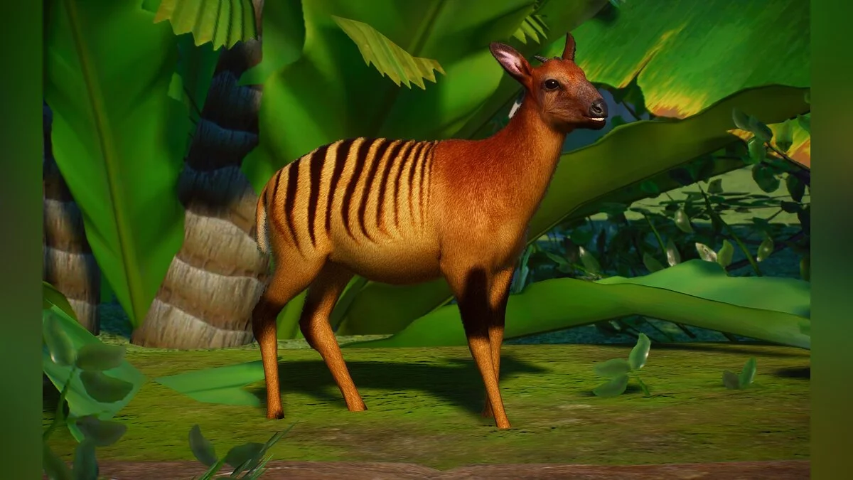 Planet Zoo — Zebra duiker (new species)