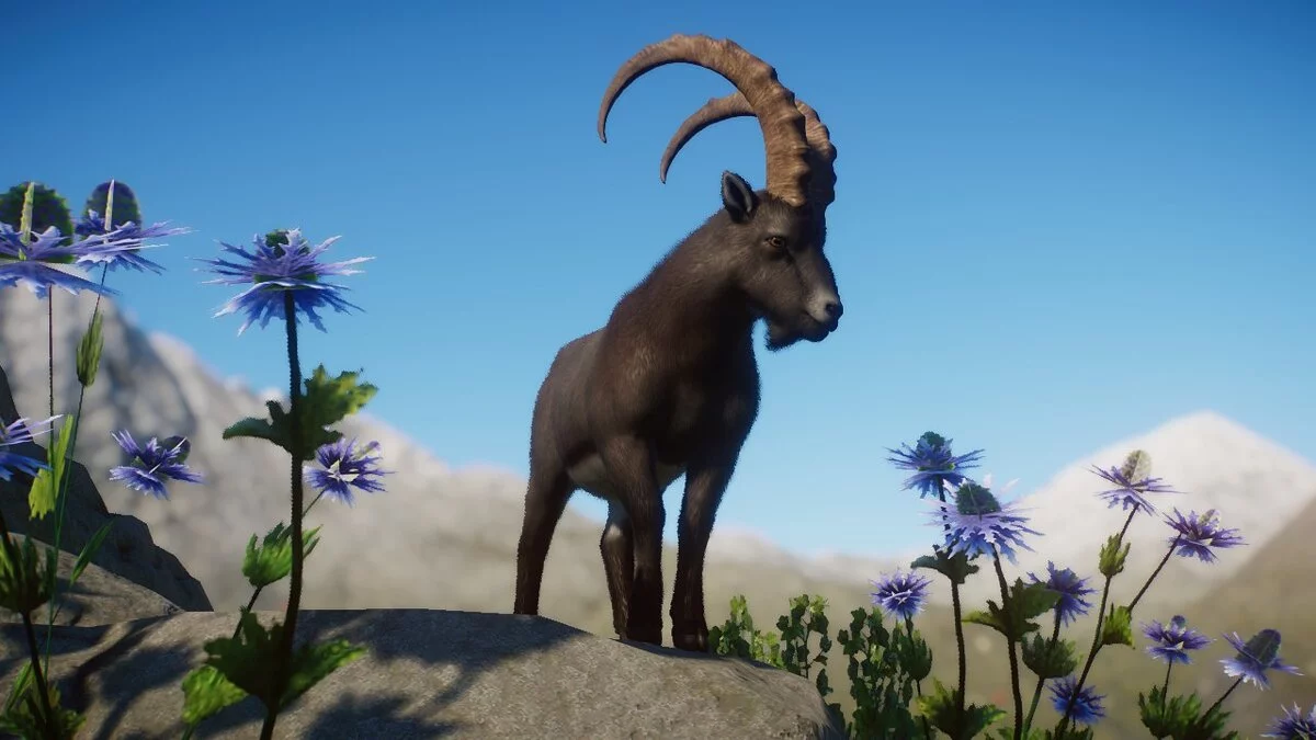 Planet Zoo — Гірський козерог (новий вид)