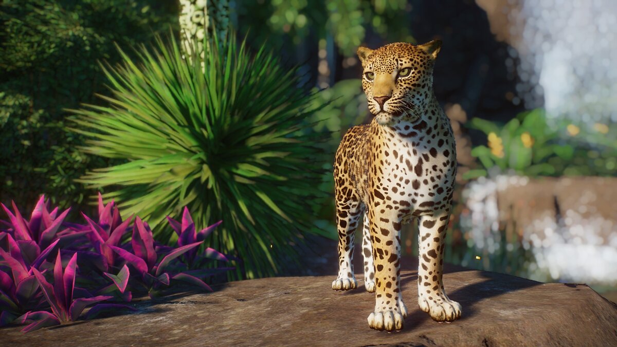 Planet Zoo — Indian leopard (new species)