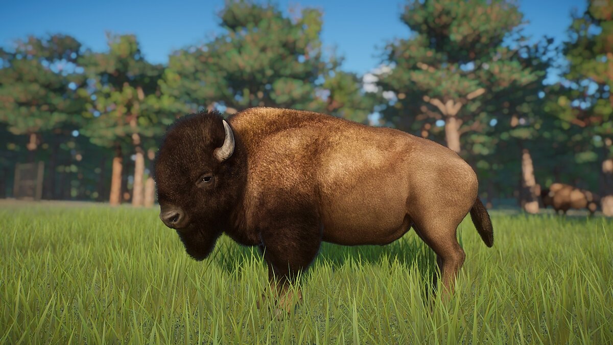 Planet Zoo — American bison