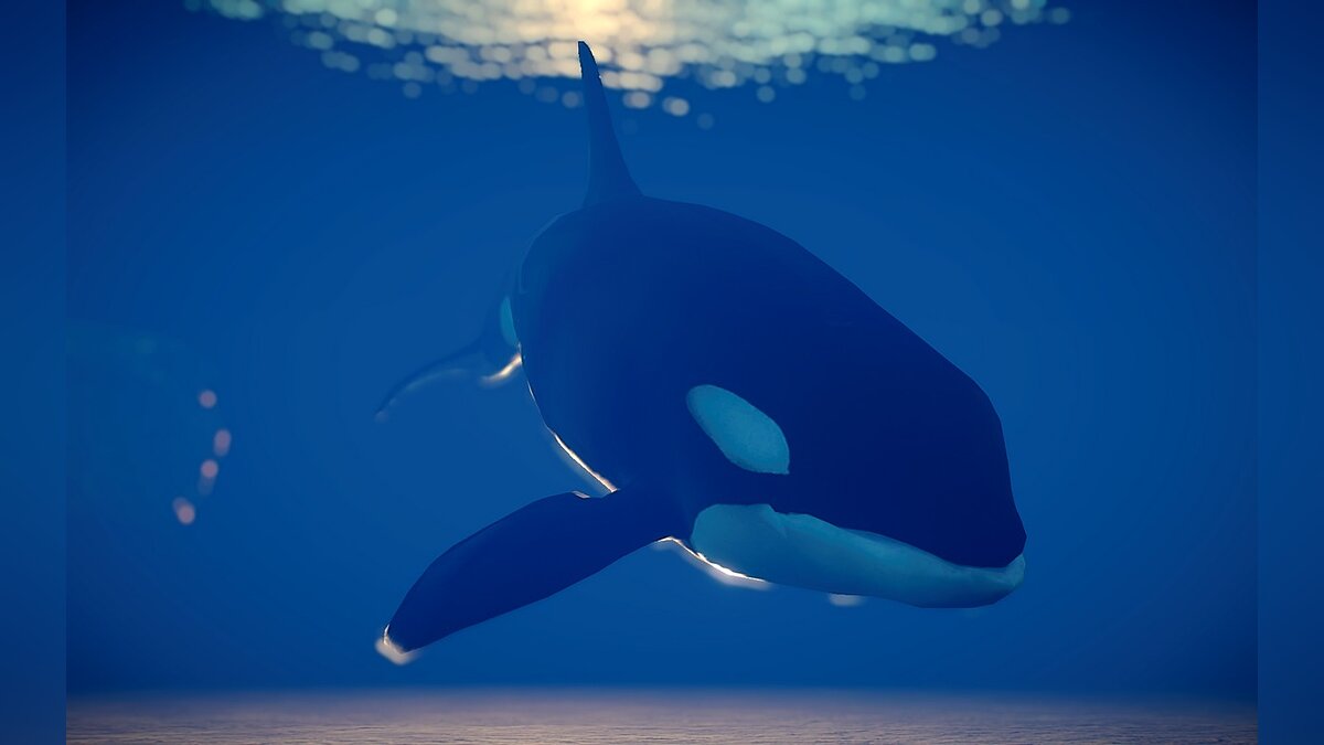 Planet Zoo — Orca (new species)