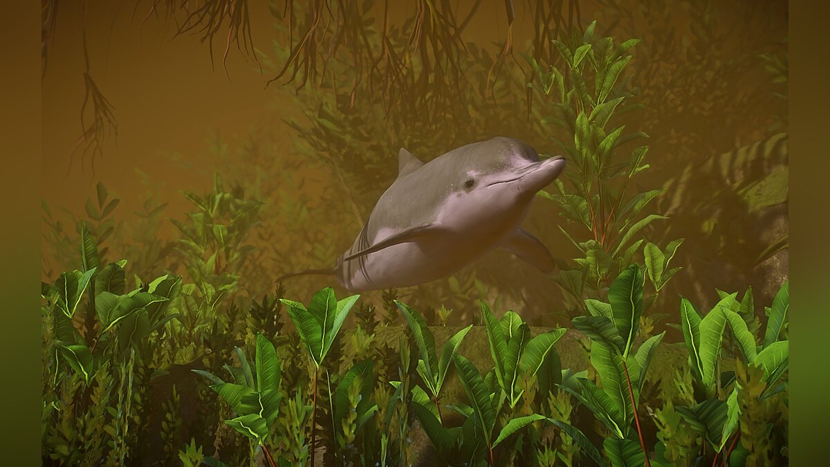 Planet Zoo — Dolphin (new species)