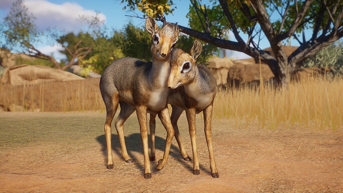 Planet Zoo — Kirk's dik-dik (new species)