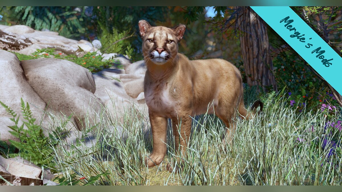 Planet Zoo — North American puma (new species)