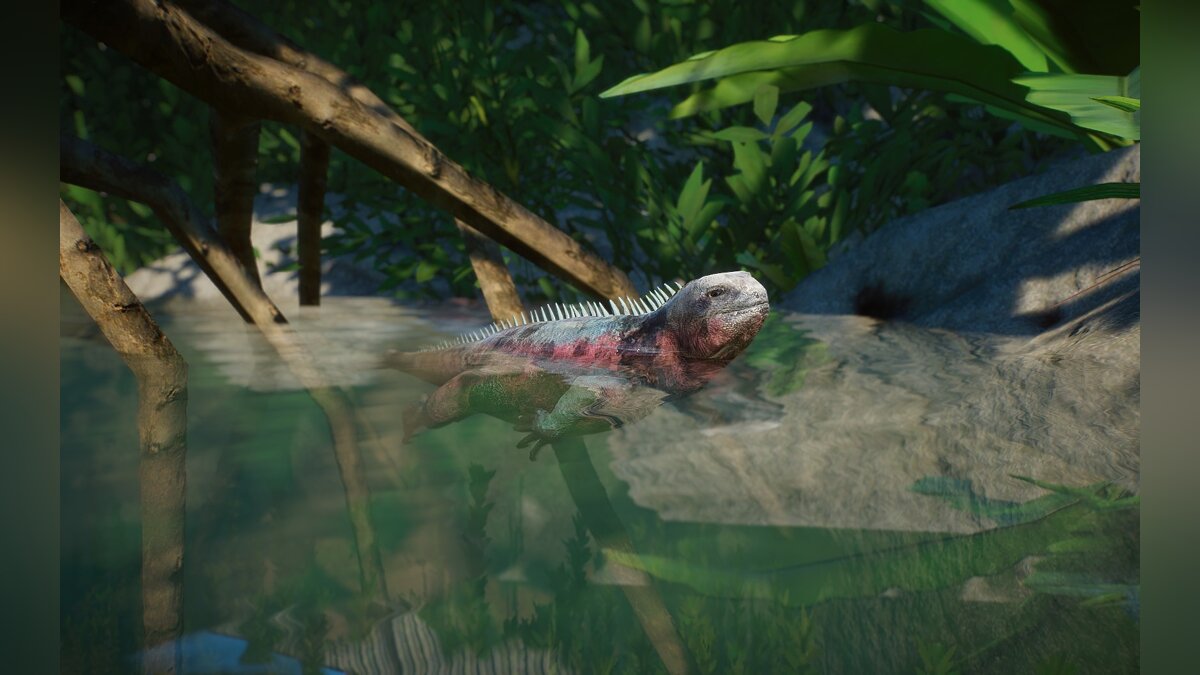 Planet Zoo — Marine iguana (new species)