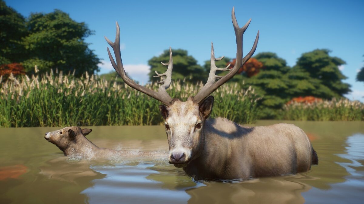 Planet Zoo — Pere David's deer (new species)