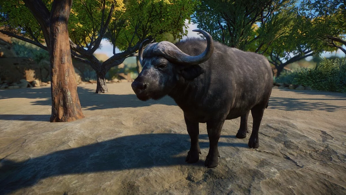 Planet Zoo — Некоторые модификации африканских млекопитающих