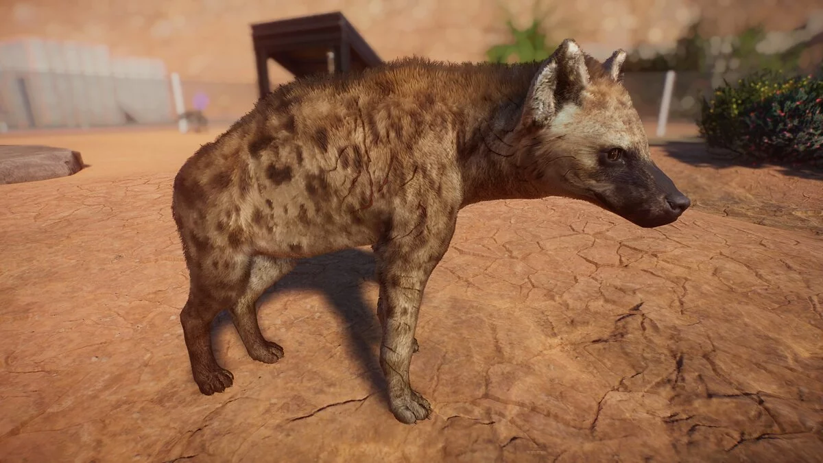 Planet Zoo — Some modifications of African mammals