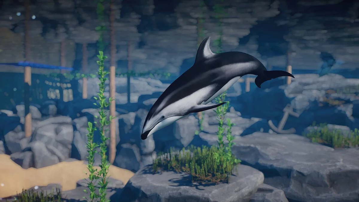 Planet Zoo — Тихоокеанський білобокий дельфін (новий вигляд)