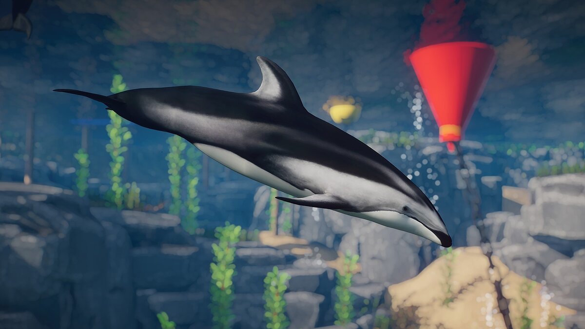 Planet Zoo — Pacific white-sided dolphin (new species)