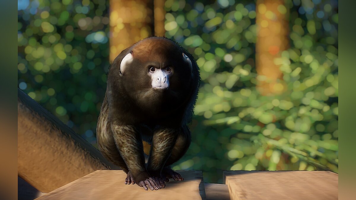 Planet Zoo — Bolivian gray monkey Titi (new species)