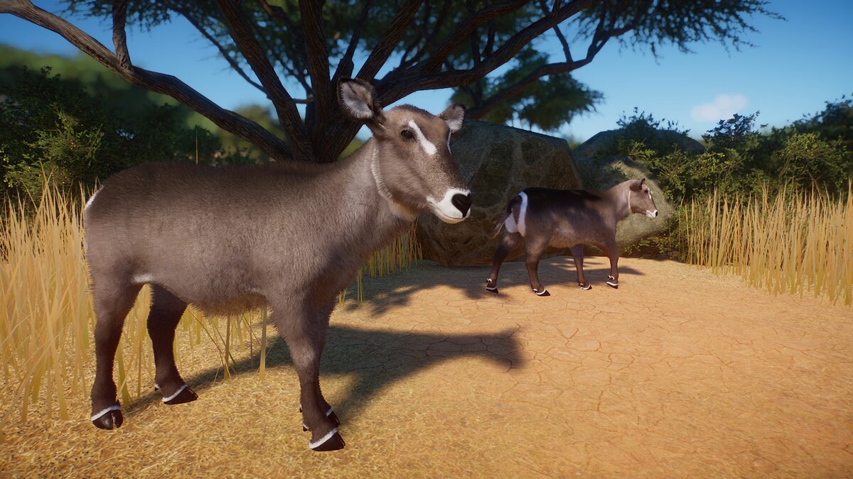 Planet Zoo — Common waterbuck (new species)