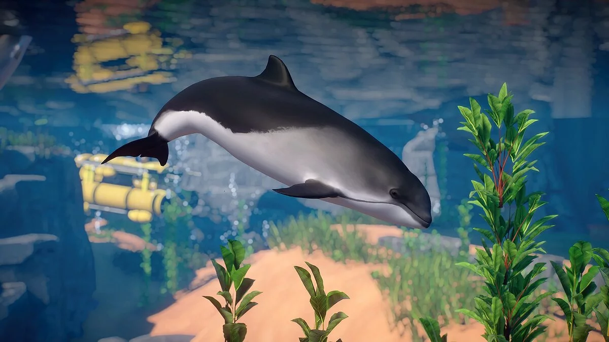 Planet Zoo — Harbor porpoise (new species)