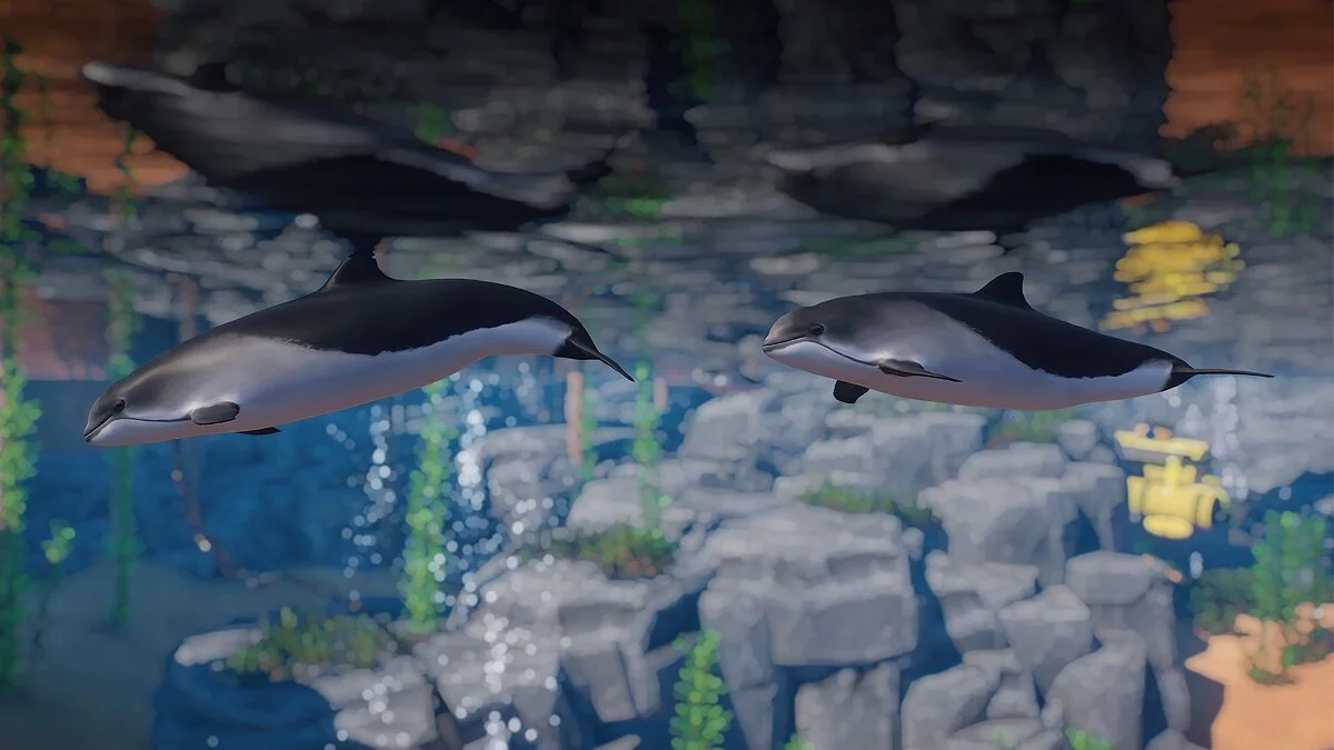 Planet Zoo — Marsopa común (nueva especie)