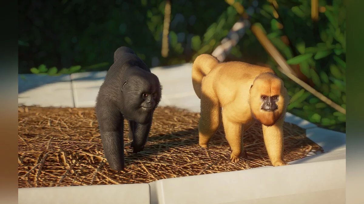 Planet Zoo — Black howler monkey (new species)