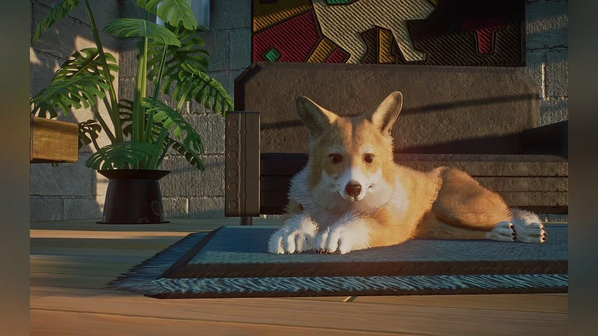 Planet Zoo — Corgi - domestic dog (new species)