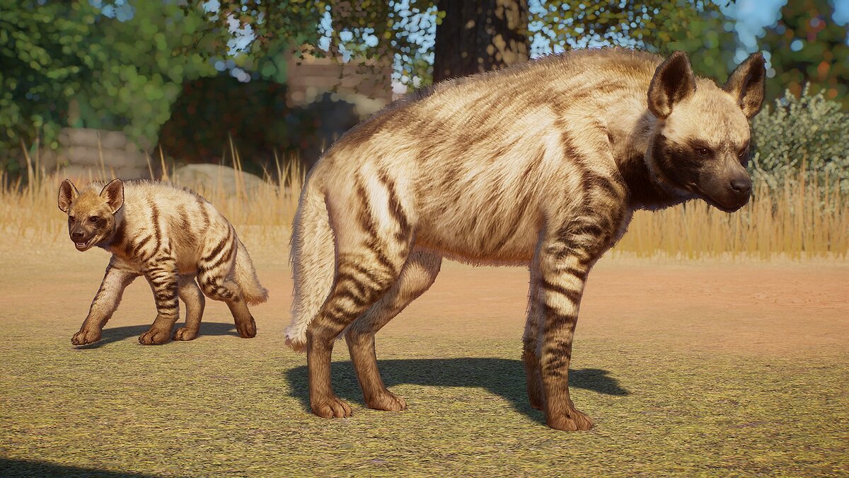 Planet Zoo — Striped hyena (new species)