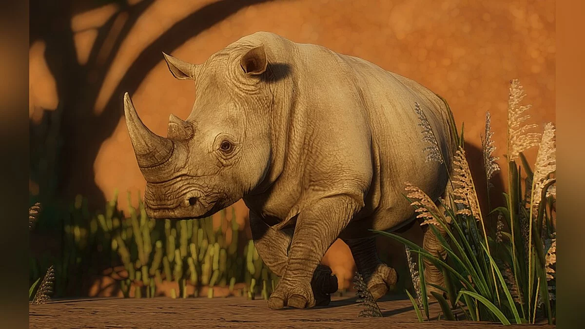 Planet Zoo — Northern white rhinoceros (new species)