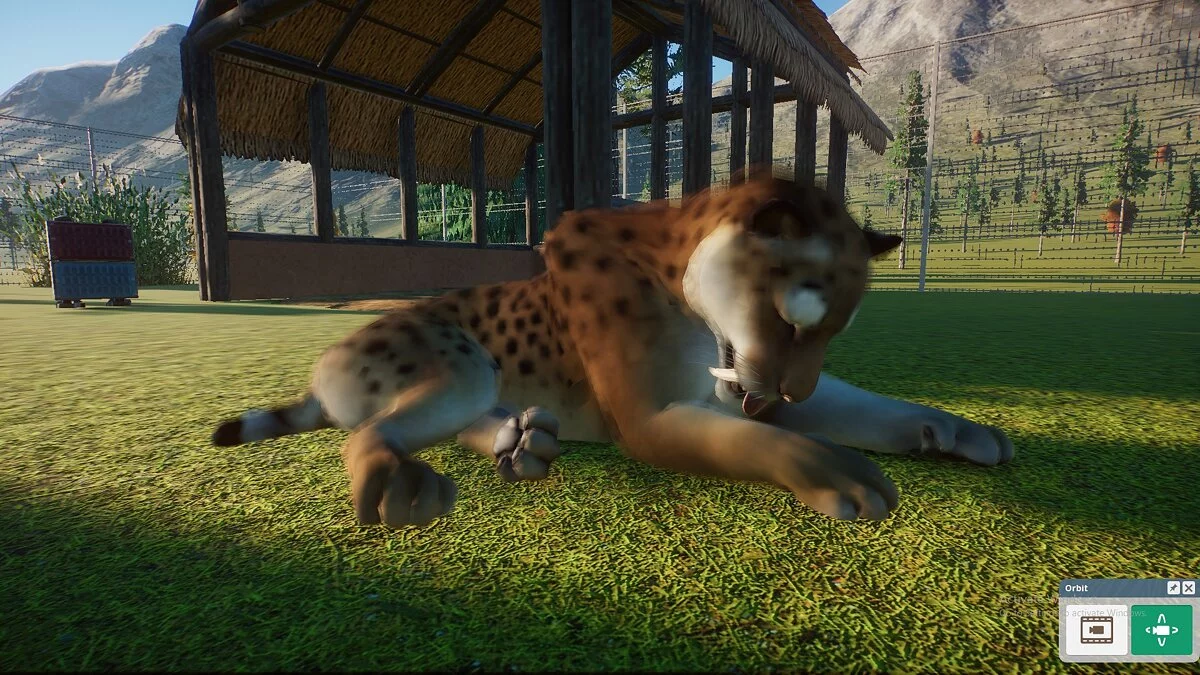 Planet Zoo — Sabljasti tiger