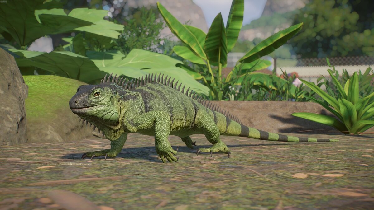 Planet Zoo — Green iguana (new species)