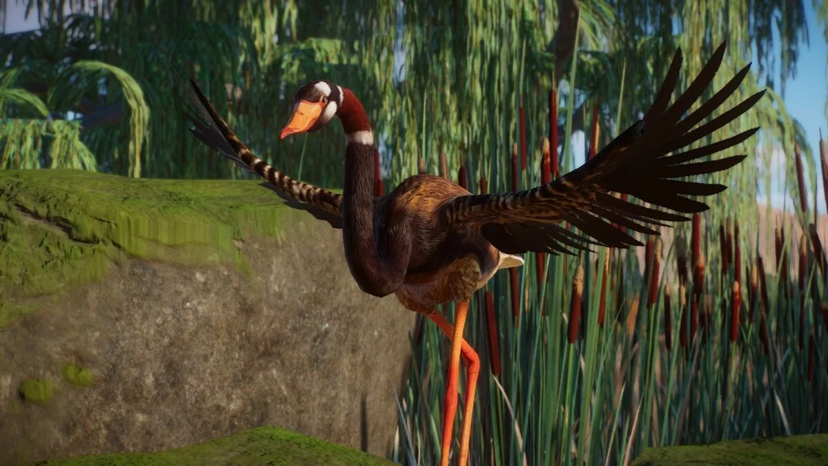 Planet Zoo — Duck on stilts (new species)