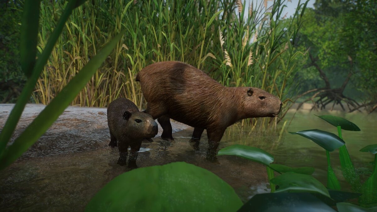 Planet Zoo — Lesser capybara - new species