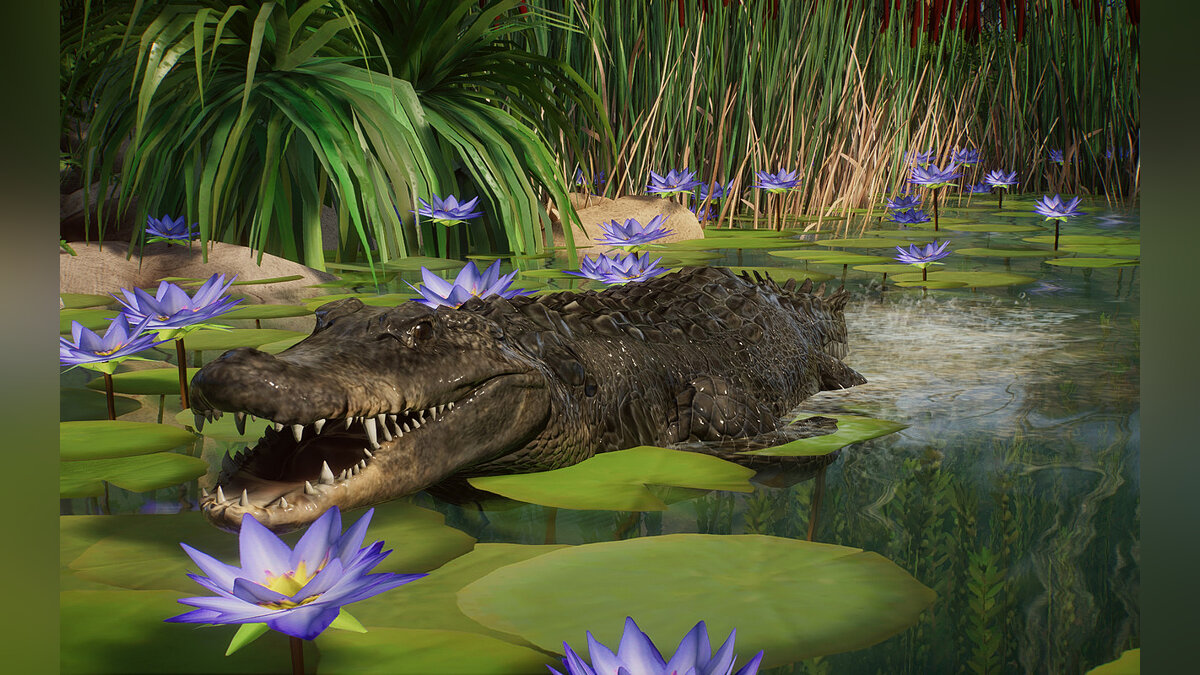 Planet Zoo — American alligator (new species)