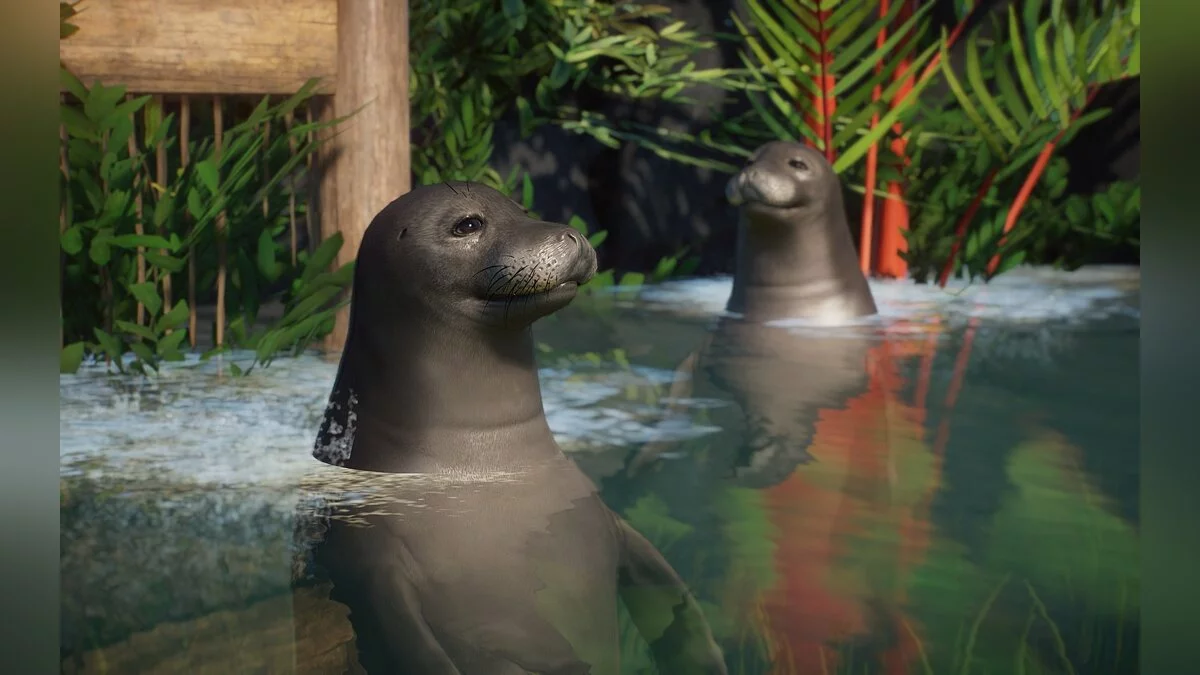 Planet Zoo — Foca monje hawaiana (nueva especie)