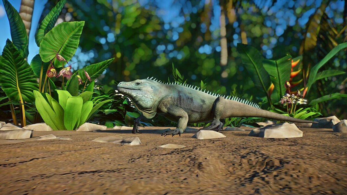 Planet Zoo — Blue iguana (new species)