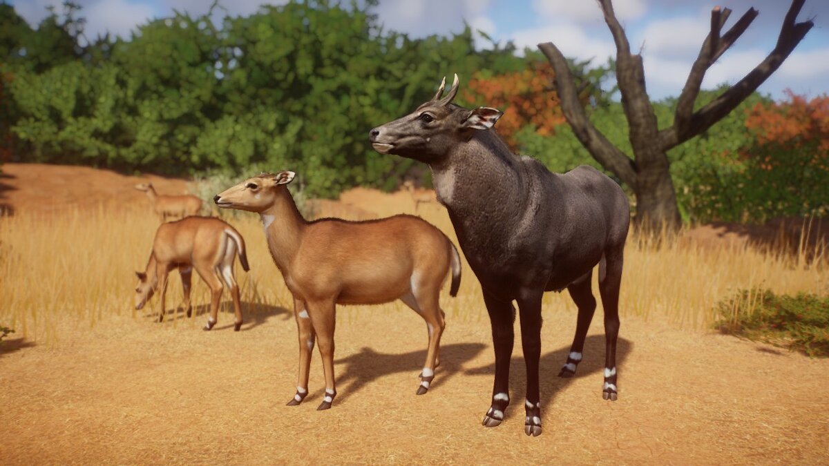 Planet Zoo — Nilgai - (new species)