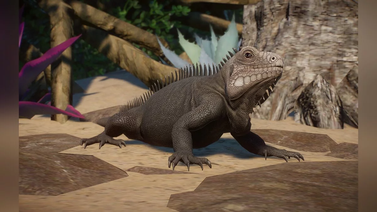 Planet Zoo — Iguana de las Antillas Menores (nueva especie)