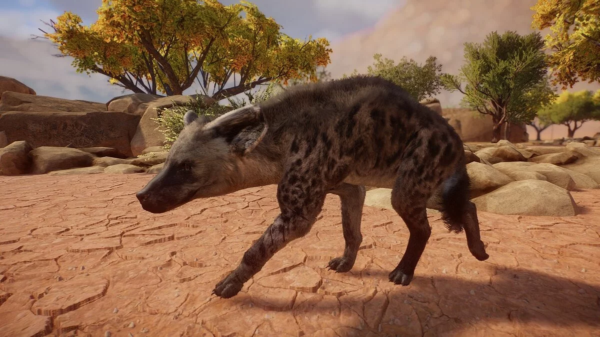 Planet Zoo — spotted hyena