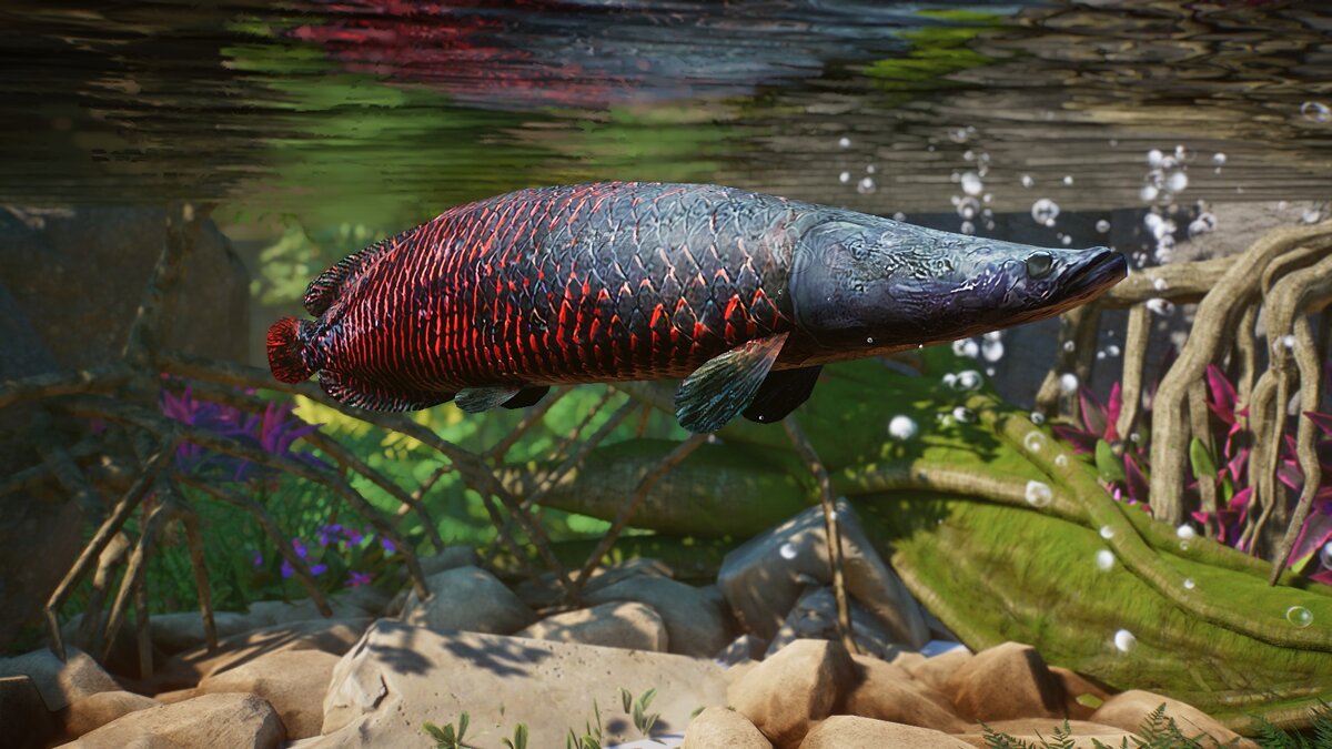 Planet Zoo — New species - Arapaima