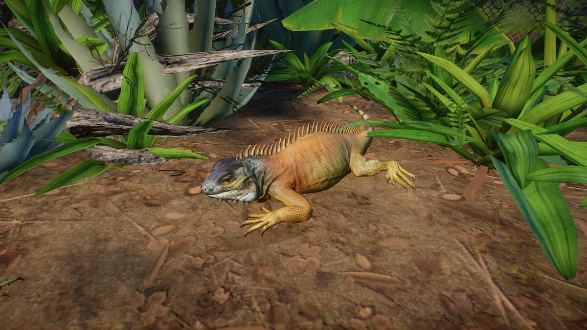 Planet Zoo — Green iguana