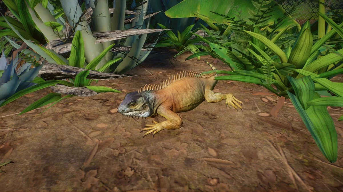 Planet Zoo — Green iguana