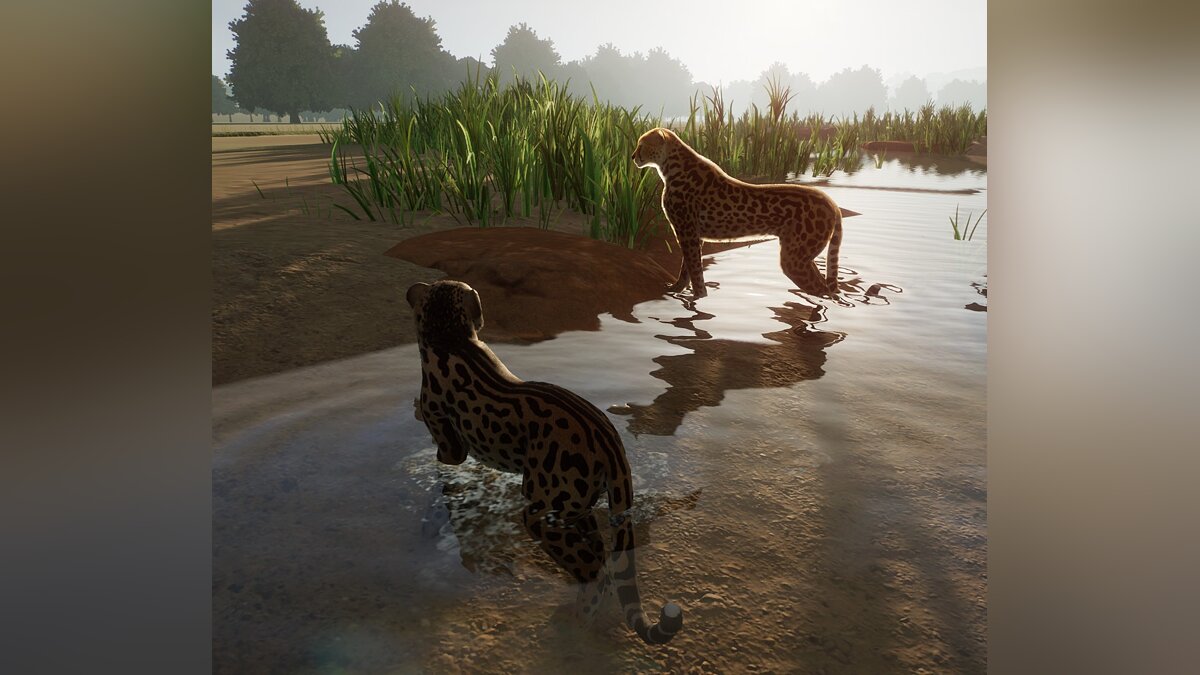 Planet Zoo — Royal cheetah