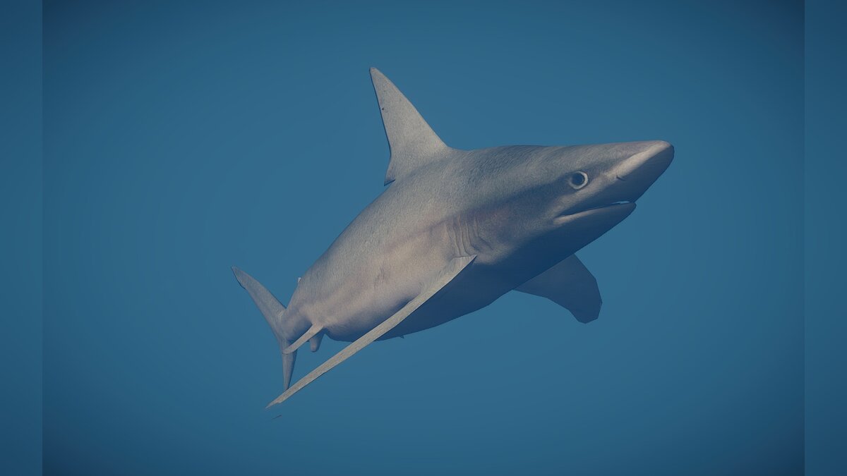 Planet Zoo — New species - sand shark