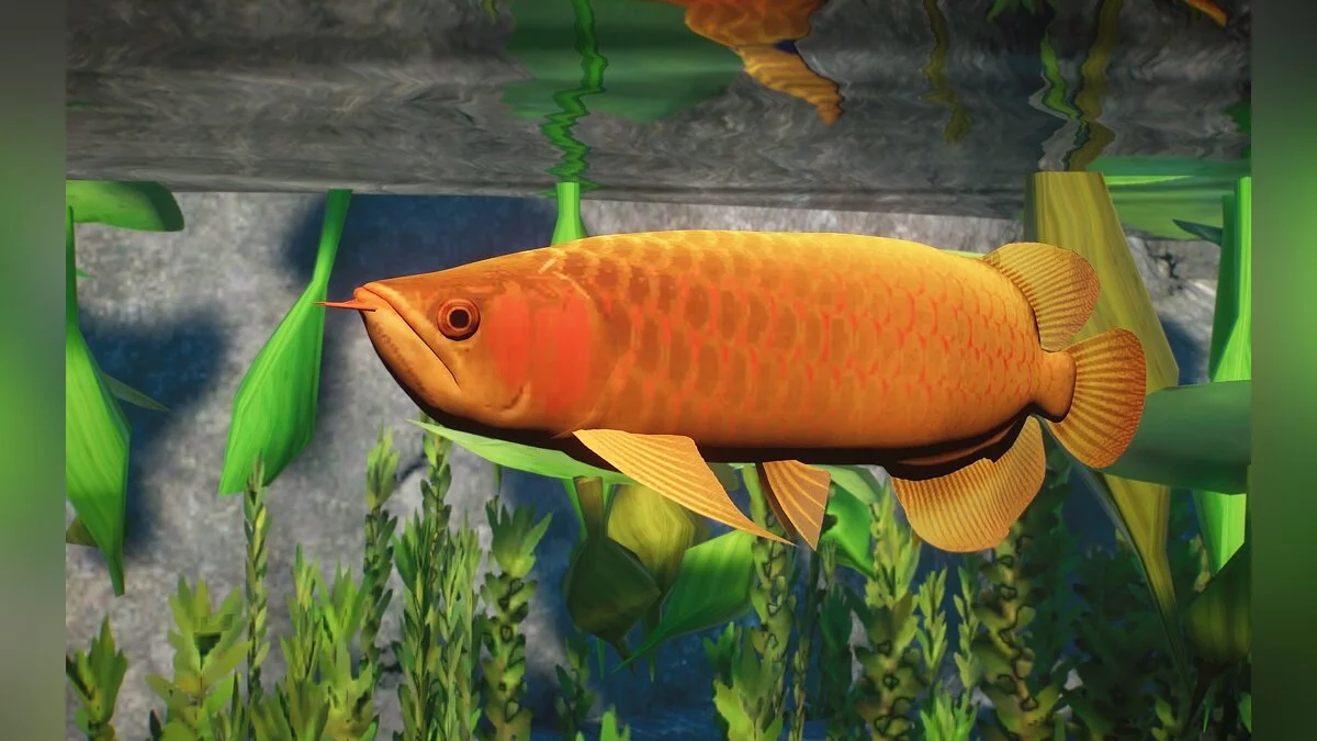 Planet Zoo — Nueva especie: Arowana asiática