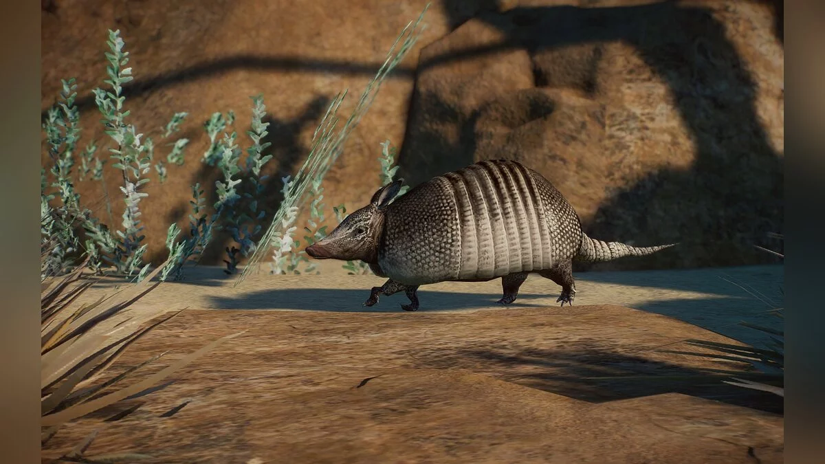 Planet Zoo — Nueva especie: armadillo de nueve bandas