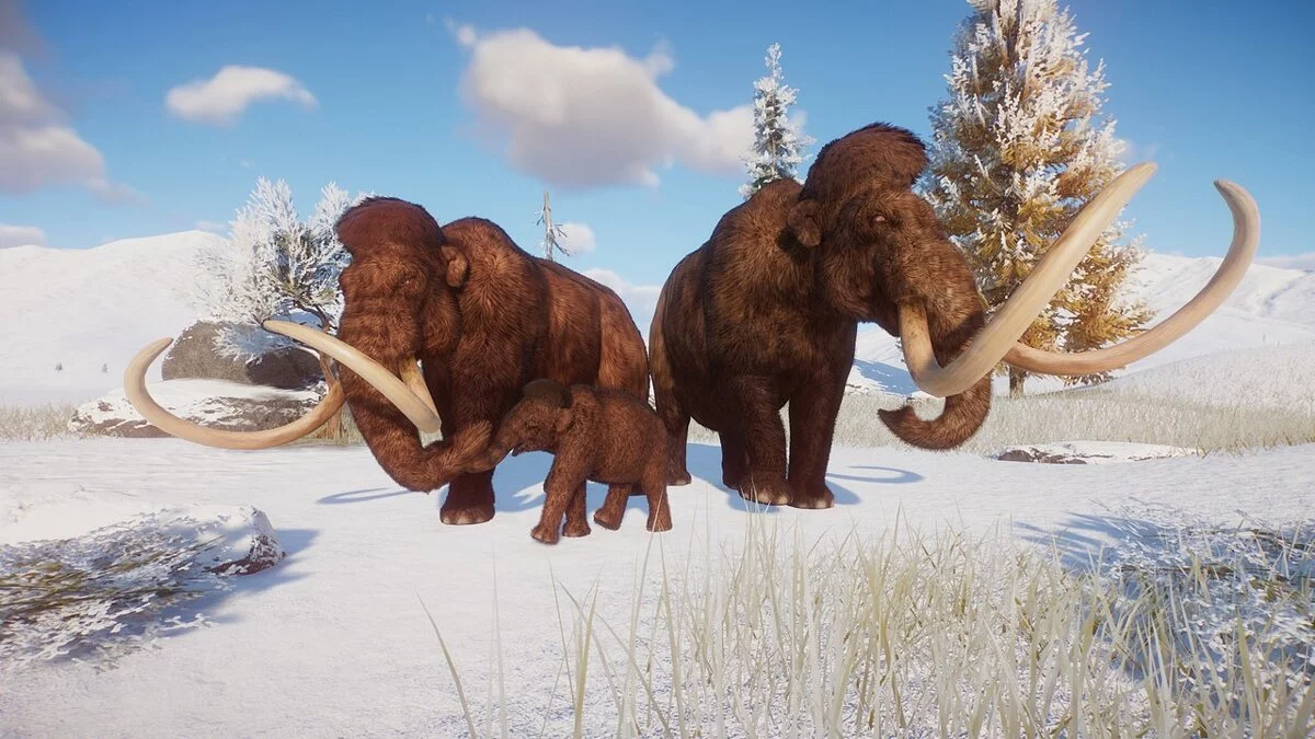 Planet Zoo — Woolly mammoth - new species