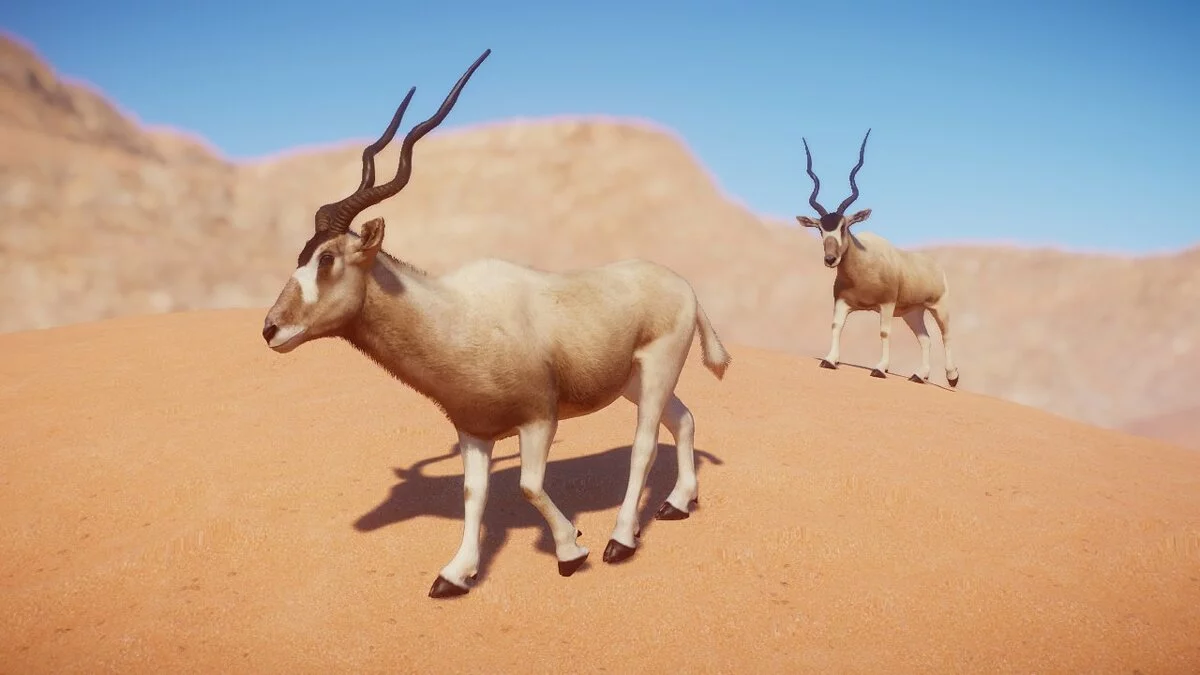 Planet Zoo — Addax - una nueva especie