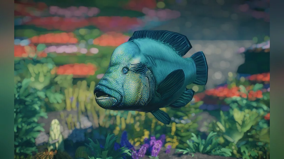 Planet Zoo — New species - Humpback wrasse